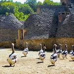 Le Picot