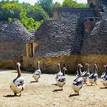 Le Picot Holiday home Bussac (Dordogne)
