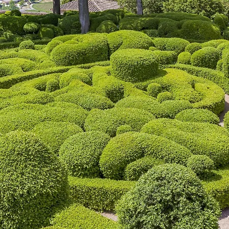 Vakantiehuis Le Picot *