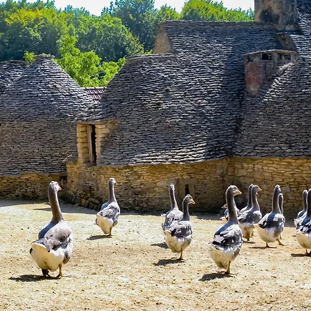 Le Picot Holiday home Bussac (Dordogne)