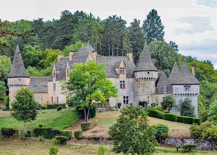 Feriehus Le Picot Bussac (Dordogne)